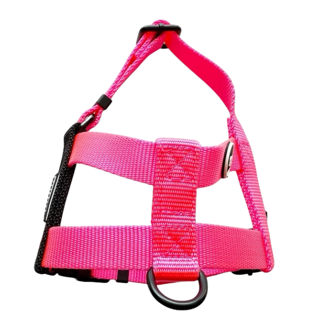 NUKENAI HARNESS 20mm/ XSサイズ / NEON