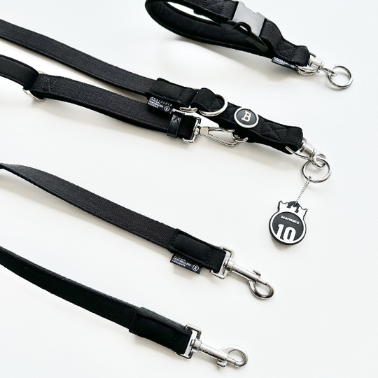 10th BONNEL"TEBURA LEASH" SET /BLACK