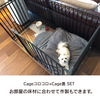 Cageコロコロ/ケージ台・ケージ蓋