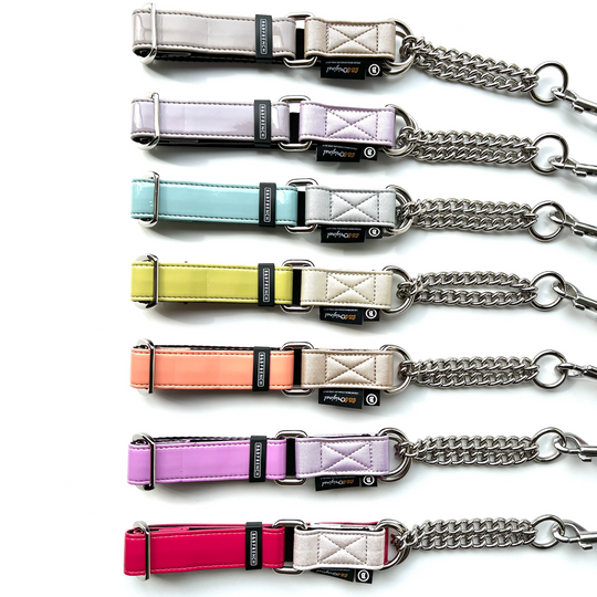 Original CHOKE Collor&Leash SET /enamel : 20mm / 25mm