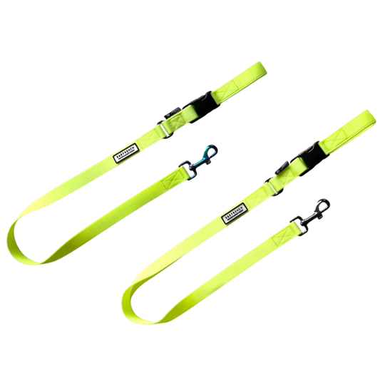 24'NB.LEASH /NEONイエロー