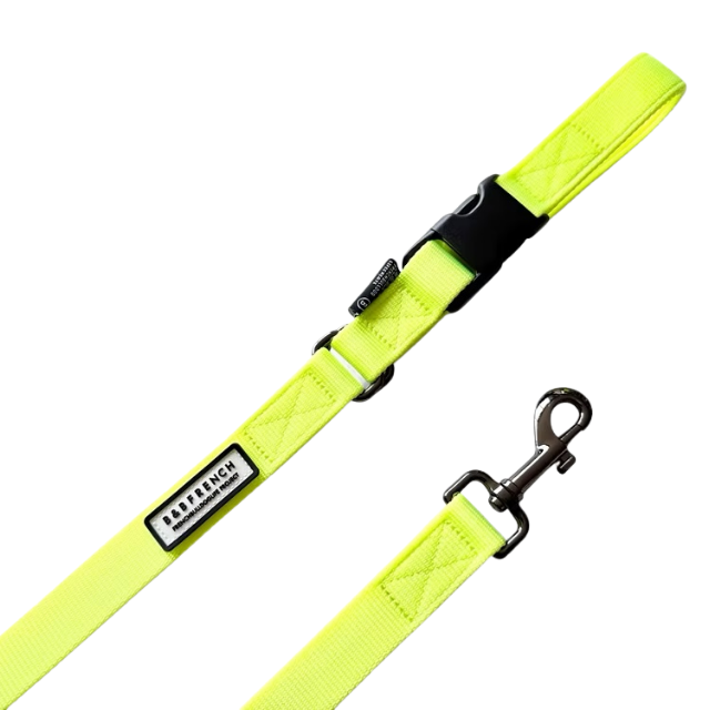 24'NB.LEASH /NEONイエロー
