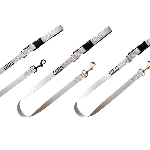 24'NB.LEASH / アイボリー