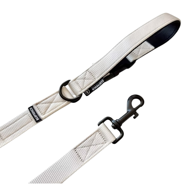 24'NB.LEASH / アイボリー