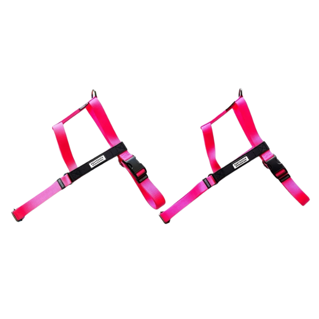 24'NUKENAI HARNESS (L) 大型犬用/NEONピンク