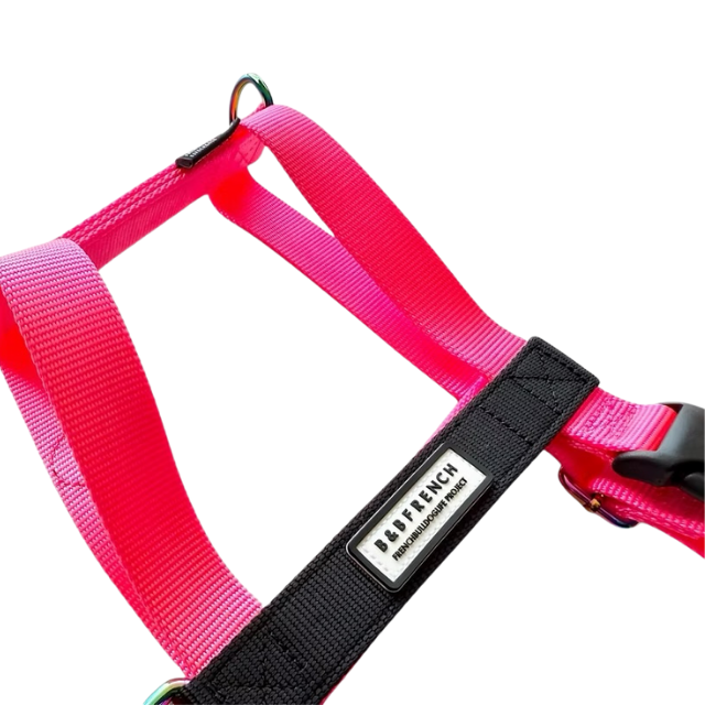 24'NUKENAI HARNESS (L) 大型犬用/NEONピンク