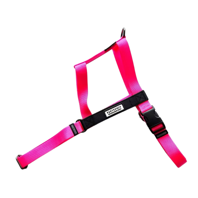 24'NUKENAI HARNESS (L) 大型犬用/NEONピンク