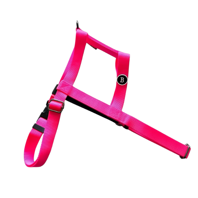 24'NUKENAI HARNESS (L) 大型犬用/NEONピンク