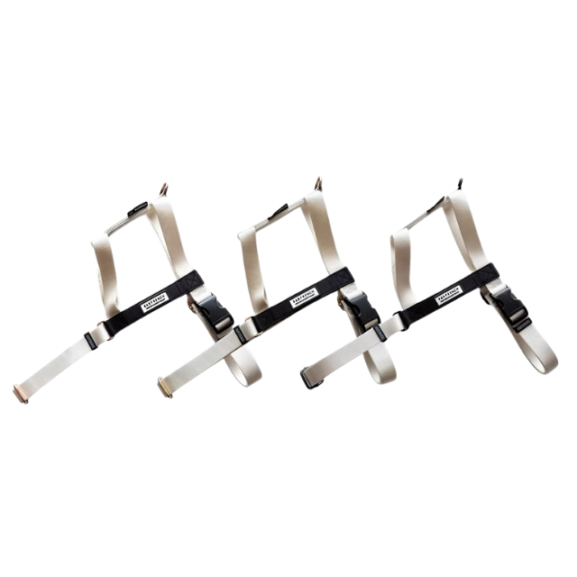 24'NUKENAI HARNESS (L) 大型犬用/アイボリー