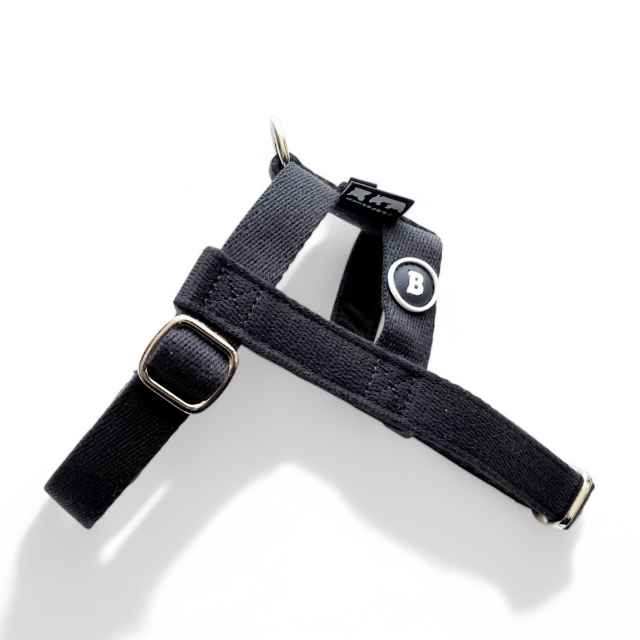 25'BONNEL HARNESS（XS)