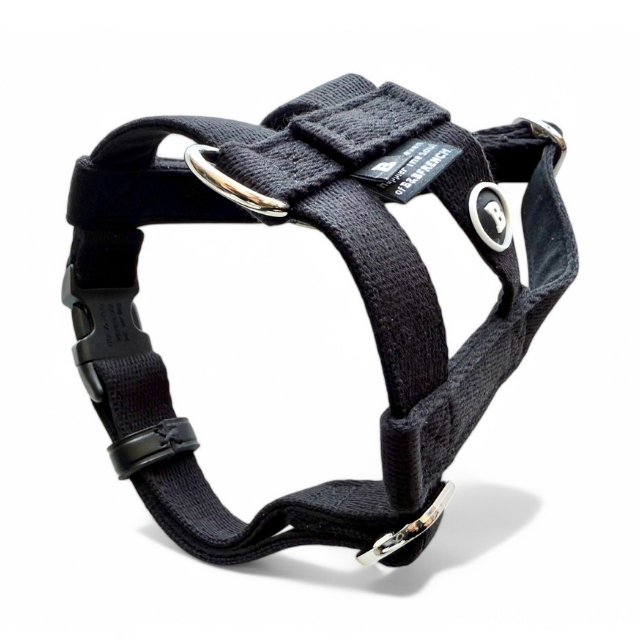 25'BONNEL HARNESS（XS)