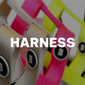 Harness