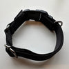 ONE-TOUCH CHOKE COLLAR / 25mm (ML) Size / NEON