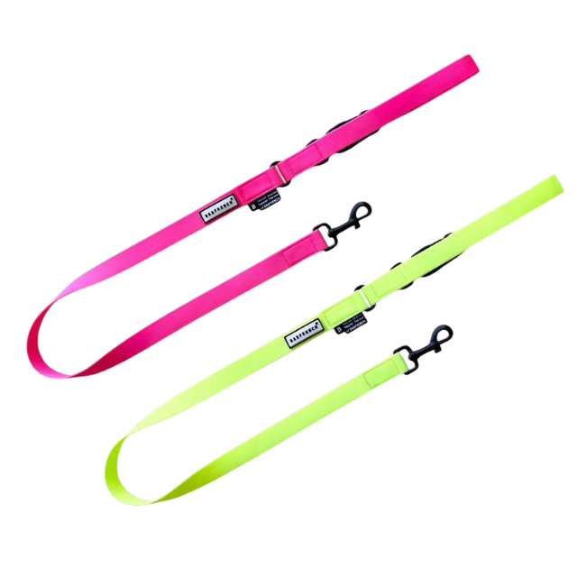 NB.LEASH 25mm ロング/NEON