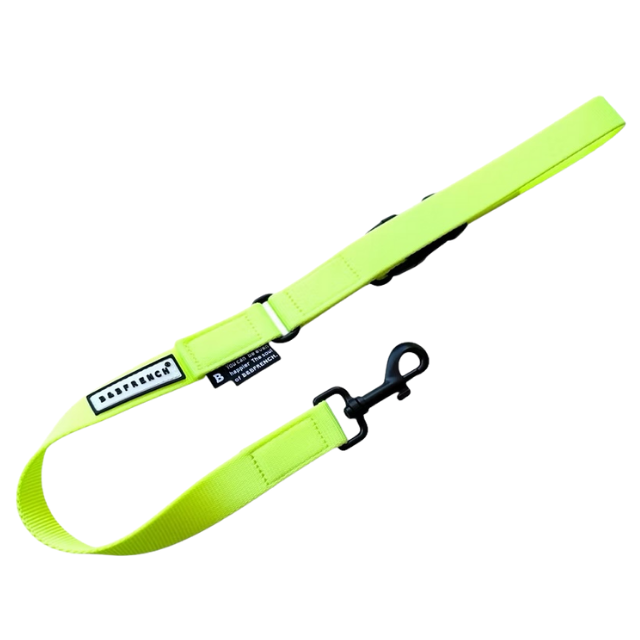 NB.LEASH 25mmショート/NEON