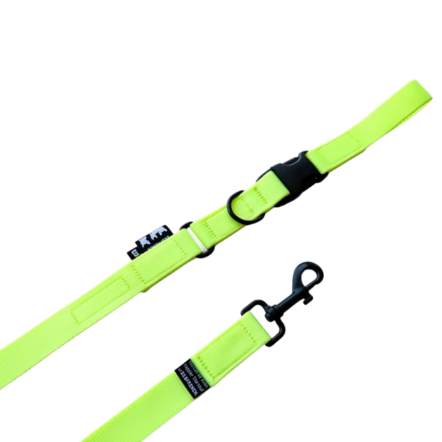 NB.LEASH 25mm ロング/NEON