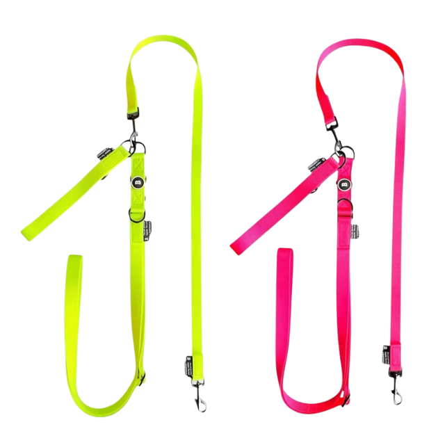 NB.TEBURA LEASH SET 25mm/ NEON