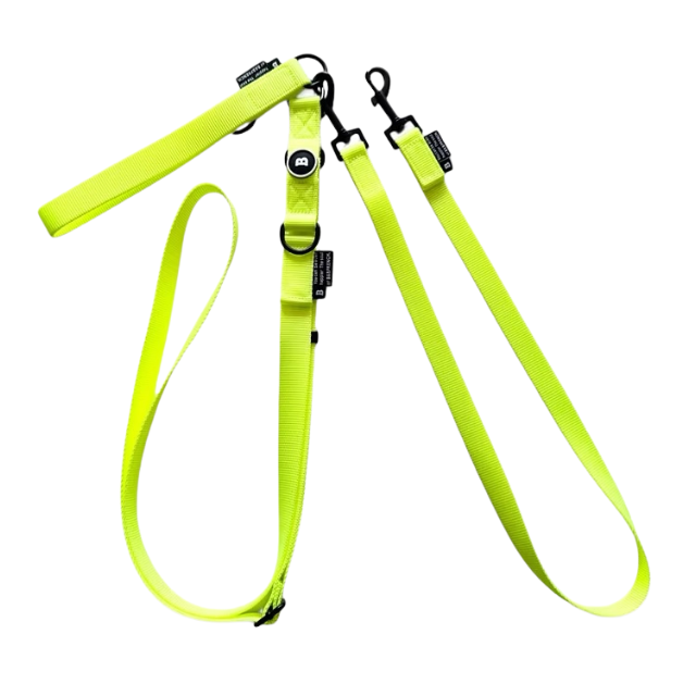 NB.TEBURA LEASH SET 25mm/ NEON