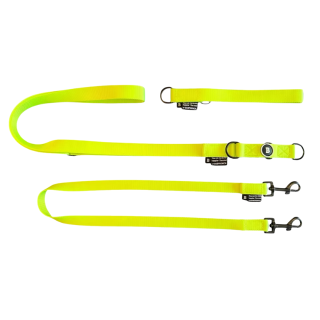 NB.TEBURA LEASH SET 25mm/ NEON