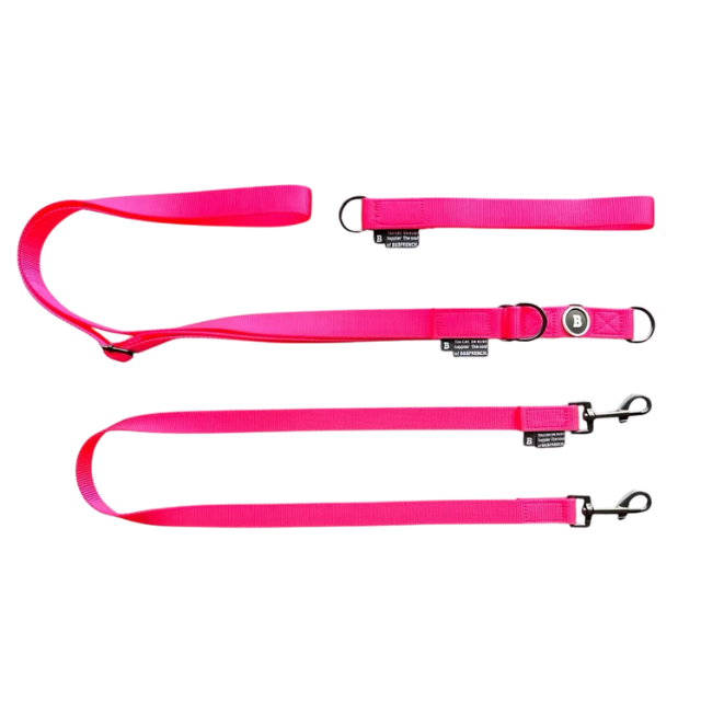 NB.TEBURA LEASH SET 25mm/ NEON