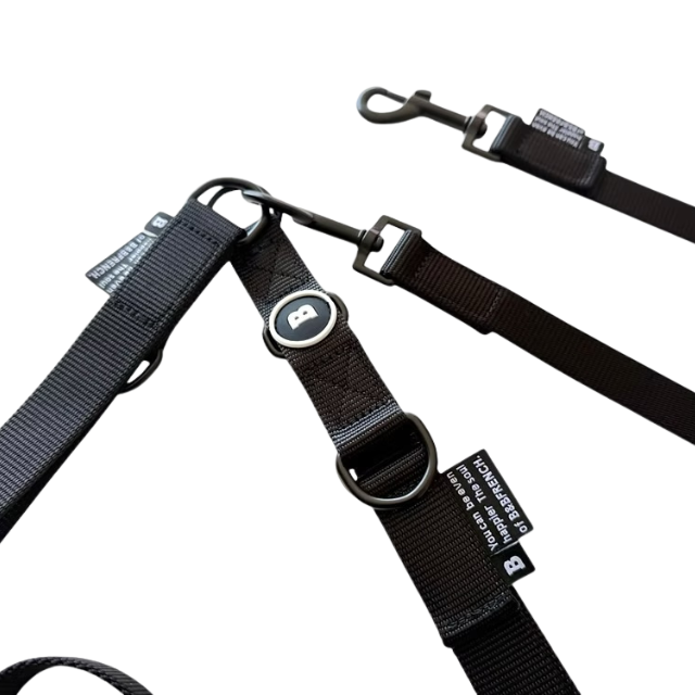 NB.TEBURA LEASH SET 25mm/ブラック