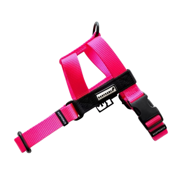 NUKENAI HARNESS 20mm/ XSサイズ / NEON