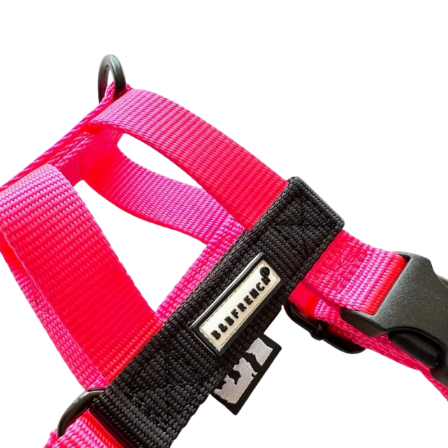 NUKENAI HARNESS 20mm/ XSサイズ / NEON