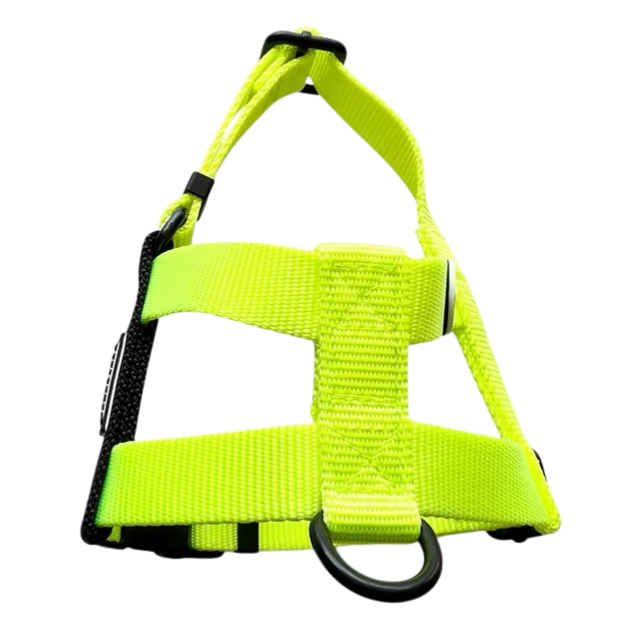 NUKENAI HARNESS 20mm/ XSサイズ / NEON