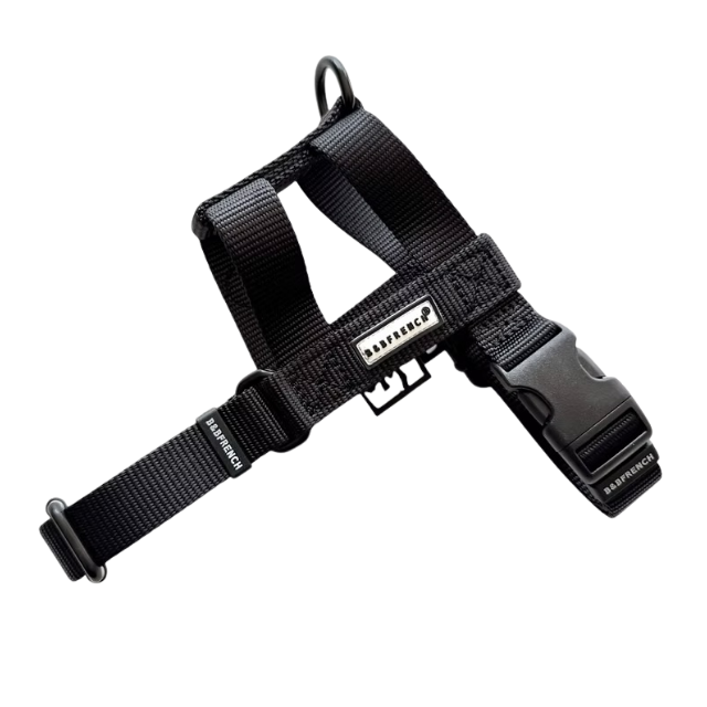 NUKENAI HARNESS 20mm/ XSサイズ /ブラック