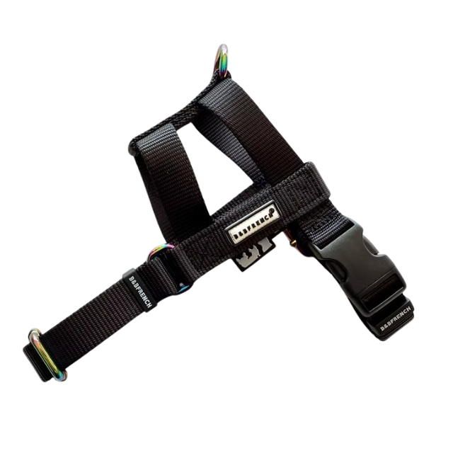 NUKENAI HARNESS 20mm/ XSサイズ /ブラック