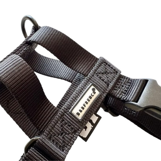 NUKENAI HARNESS 20mm/ XSサイズ /ブラック