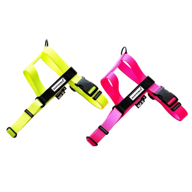 NUKENAI HARNESS 25mm  Lサイズ  / NEON
