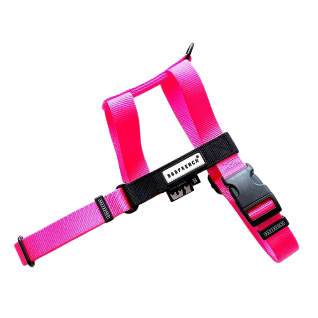 NUKENAI HARNESS 25mm  Lサイズ  / NEON