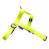 NUKENAI HARNESS 25mm  Lサイズ  / NEON