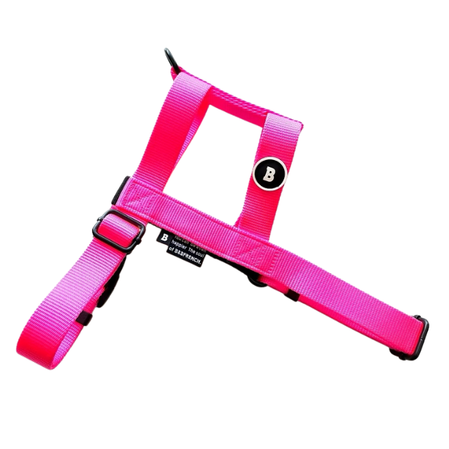 NUKENAI HARNESS 25mm  Lサイズ  / NEON