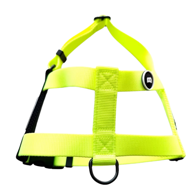 NUKENAI HARNESS 25mm  Lサイズ  / NEON