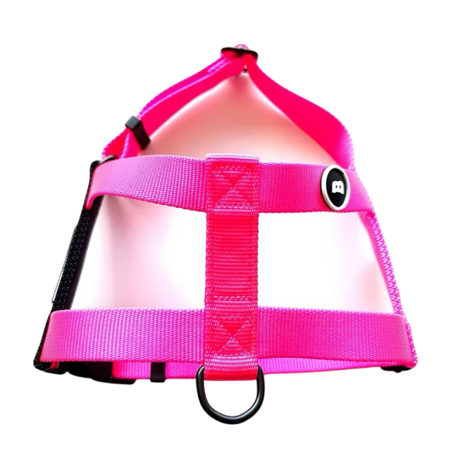 NUKENAI HARNESS 25mm  Lサイズ  / NEON