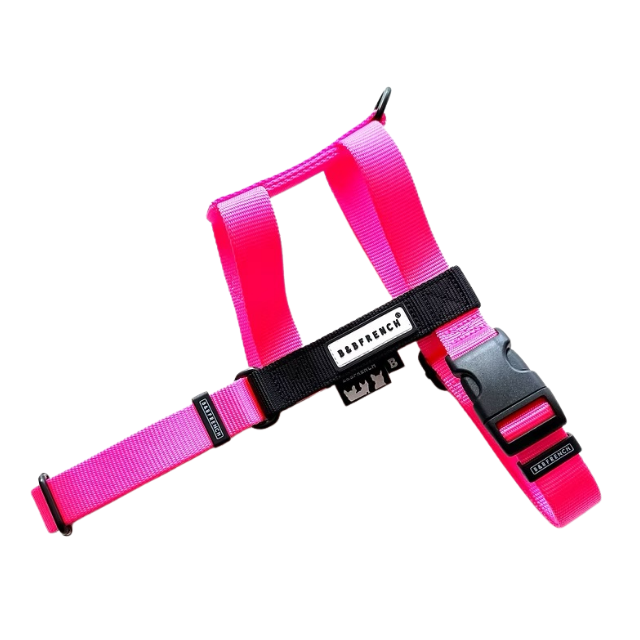 NUKENAI HARNESS 25mm  Mサイズ  / NEON