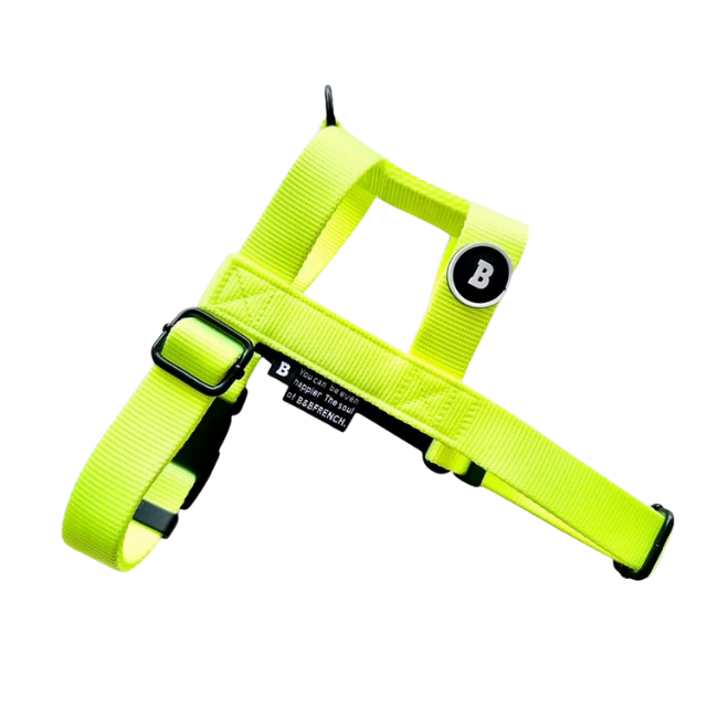 NUKENAI HARNESS 25mm  Sサイズ / NEON