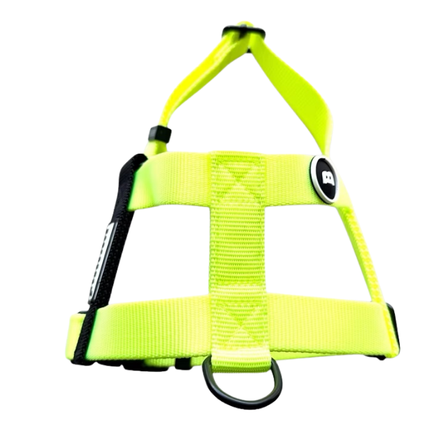 NUKENAI HARNESS 25mm  Sサイズ / NEON