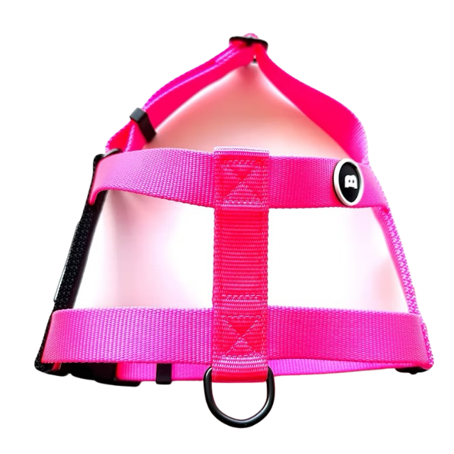 NUKENAI HARNESS 25mm  Sサイズ / NEON