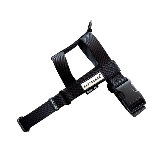 NUKENAI HARNESS 25mm Sサイズ / ブラック