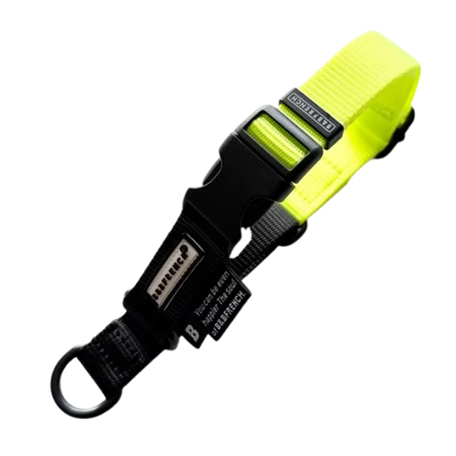 ONE-TOUCH CHOKE COLLAR 20mm（S）サイズ/NEON