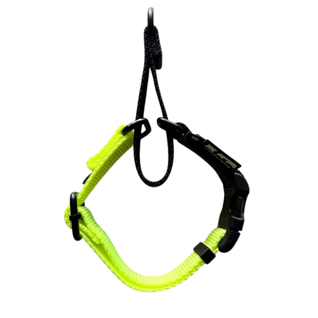 ONE-TOUCH CHOKE COLLAR 20mm（S）サイズ/NEON