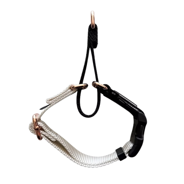 ONE-TOUCH CHOKE COLLAR 20mm（S）サイズ/アイボリー