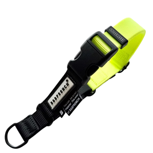 ONE-TOUCH CHOKE COLLAR / 25mm（M-L) サイズ/ NEON