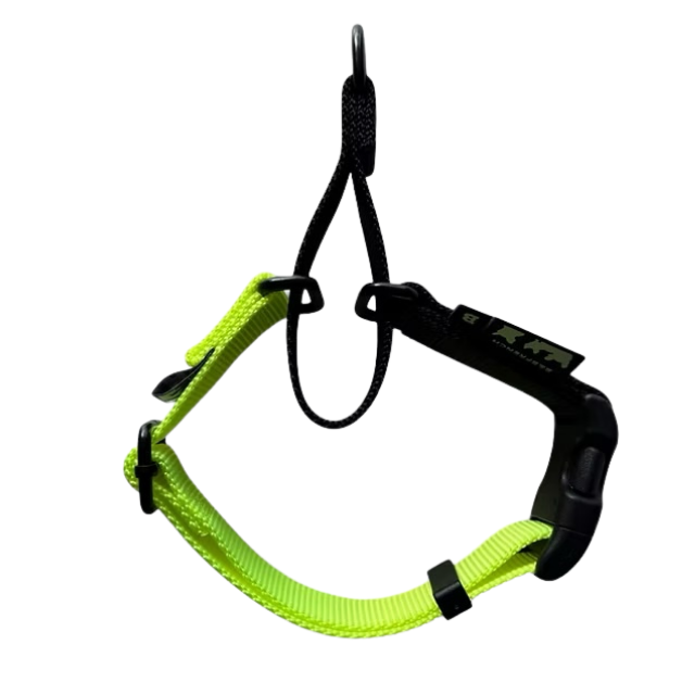 ONE-TOUCH CHOKE COLLAR / 25mm（M-L) サイズ/ NEON