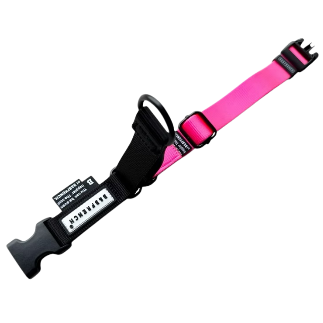 ONE-TOUCH CHOKE COLLAR / 25mm（M-L) サイズ/ NEON