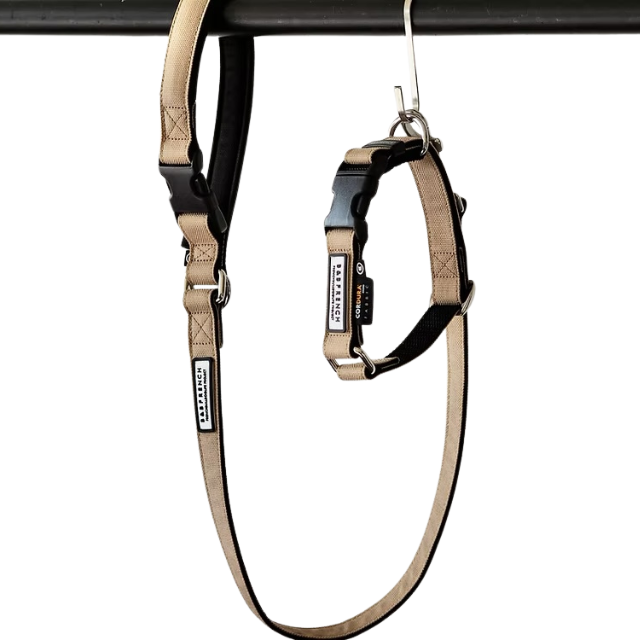 One-Touch Collor&Leash/CORDURA BEIGE