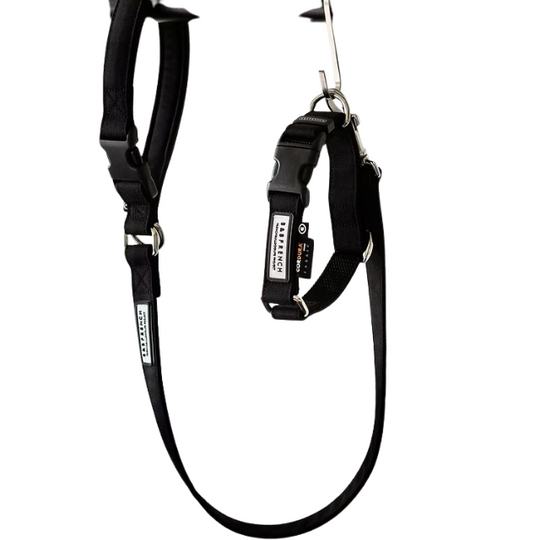 One-Touch Collor&Leash/CORDURA BLACK